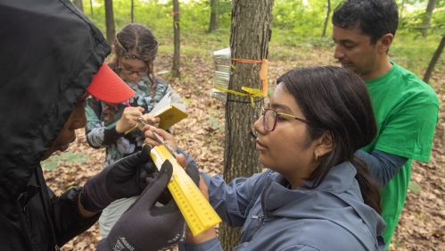 Research Students