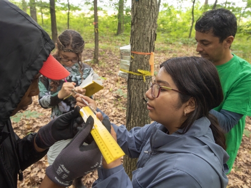 Research Students